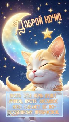 Открытка «Доброй ночи»: Доброй ночи! Милый рыжий котик и звездное небо.