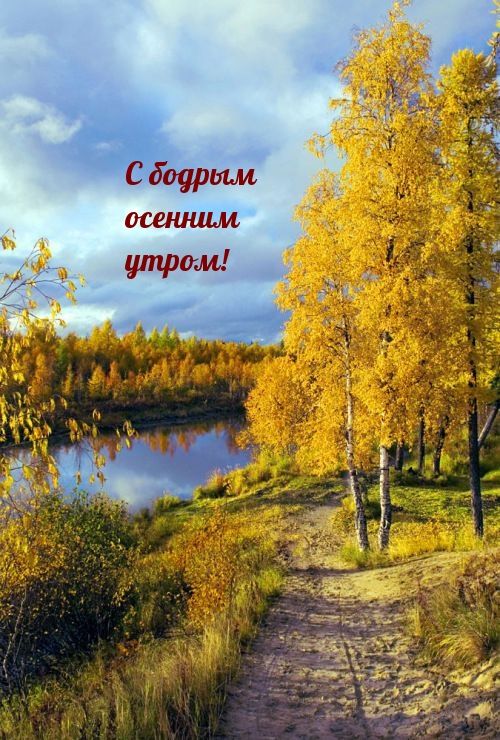 Открытка «С добрым утром»: С бодрым утром: «Золотая осень у реки». Тэги: С добрым осенним утром, С добрым утром и пре…
