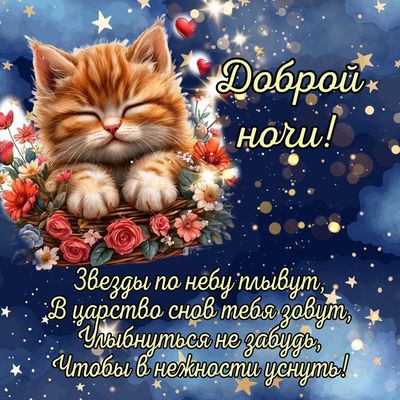 Открытка «Доброй ночи»: Доброй ночи: Милый рыжий котенок в букете цветов. Тэги: Спокойной ночи, Спокойной ночи…
