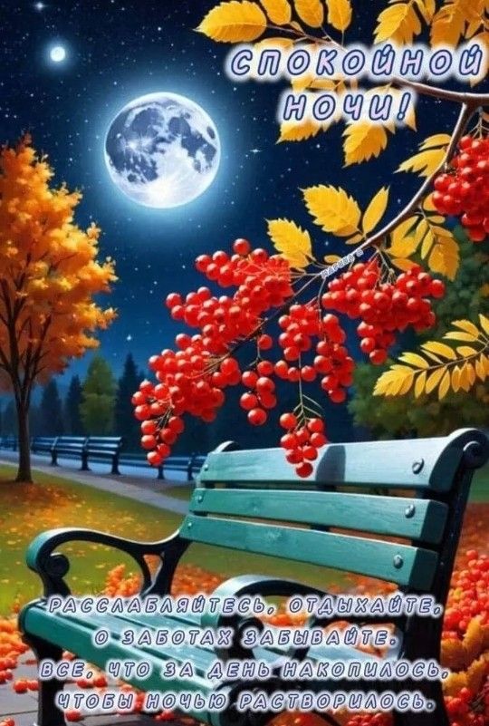 Открытка «Доброй ночи»: Спокойной ночи: Красивая открытка с рябиной и луной. Тэги: Спокойной ночи, Спокойной ночи…