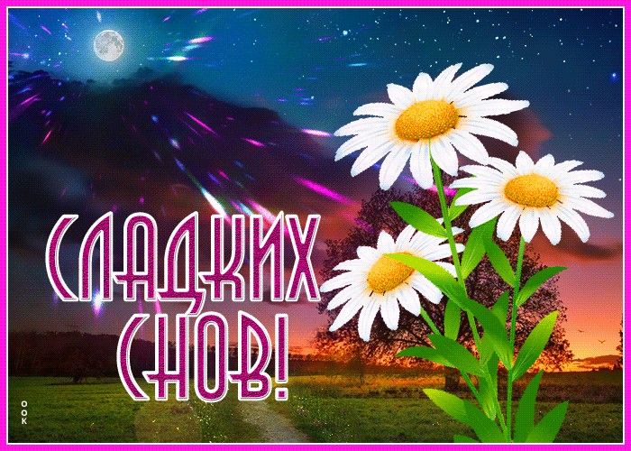 Открытка «Доброй ночи»: Доброй ночи: Сладких снов и сказочных ромашек. Тэги: Спокойной ночи, Спокойной ночи, красивые…