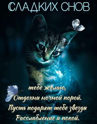 Открытка «Доброй ночи»: Спокойной ночи: доброе пожелание со сказочным котом. Тэги: Спокойной ночи, Спокойной ночи…