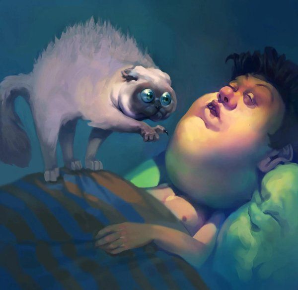 Открытка «С добрым утром»: С добрым утром! Смешной кот будит хозяина. Тэги: Для поднятия настроения, С добрым утром…