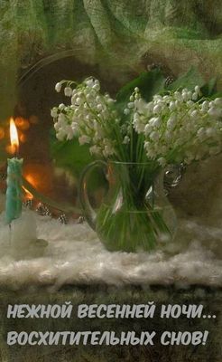 Открытка «Доброй ночи»: Доброй ночи: Нежной весенней ночи и сладких снов. Тэги: Спокойной ночи, Спокойной ночи…