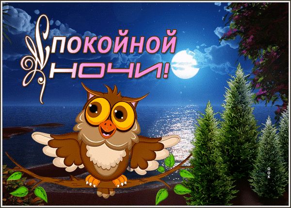 Открытка «Доброй ночи»: Спокойной ночи: Мудрая сова и лунная дорожка. Тэги: Спокойной ночи, Спокойной ночи, с пожелан…