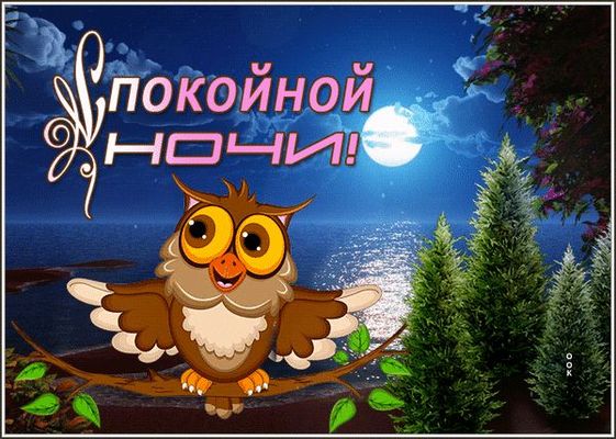 Открытка «Доброй ночи»: Спокойной ночи: Мудрая сова и лунная дорожка. Тэги: Спокойной ночи, Спокойной ночи, с пожелан…