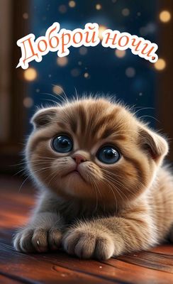 Открытка «Доброй ночи»: Доброй ночи: Милый котенок и волшебные огни. Тэги: Спокойной ночи, Спокойной ночи, красивые…