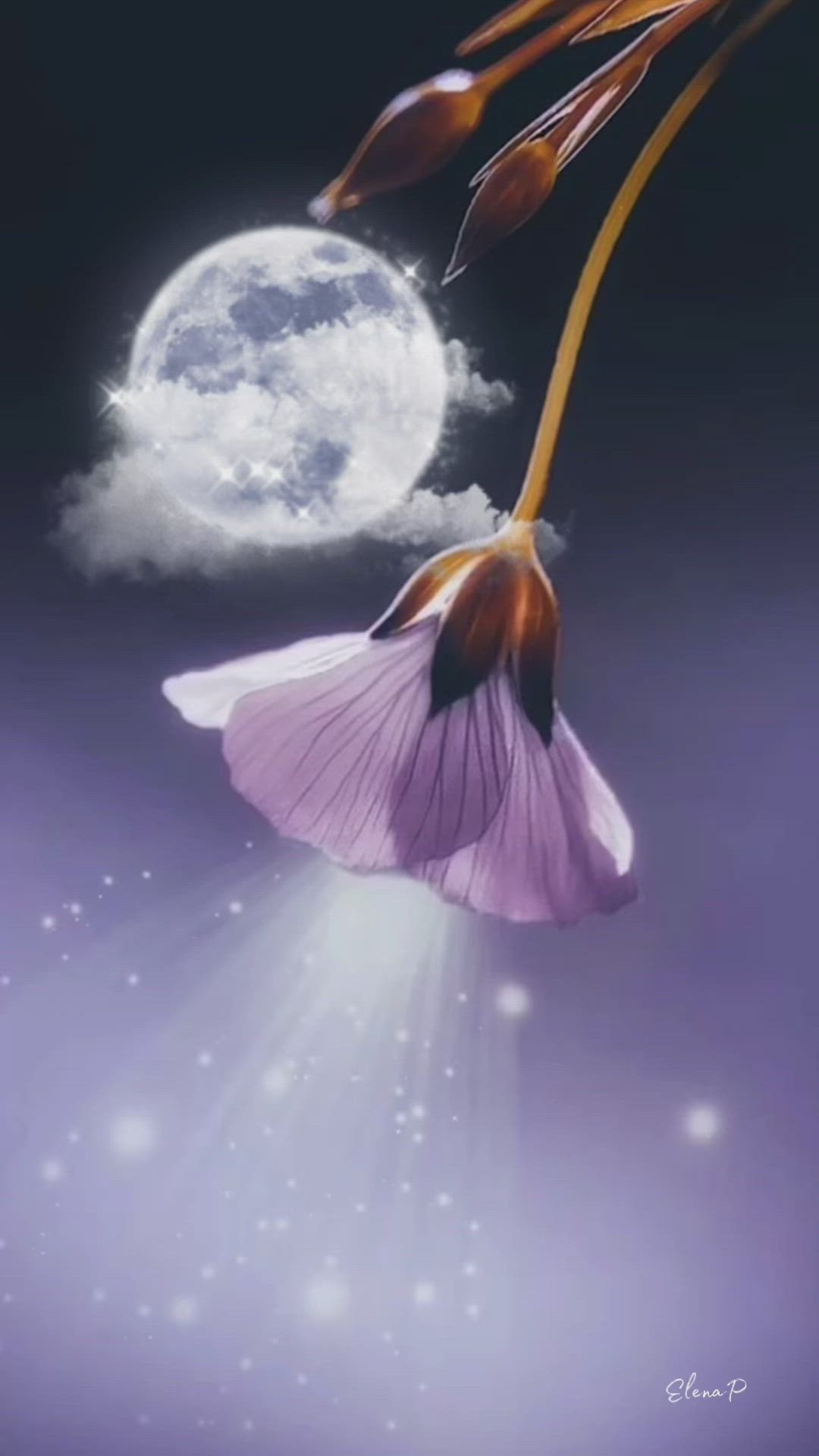 Открытка «Доброй ночи»: Спокойной ночи: Волшебный цветок под полной луной. Тэги: Спокойной ночи, Спокойной ночи…