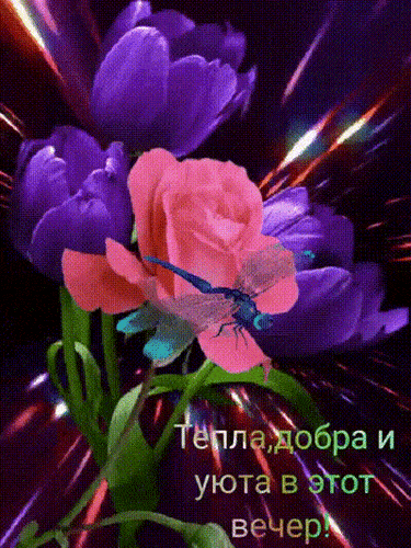 Открытка «Добрый вечер и пожелания»: Добрый вечер: стильный букет и яркое пожелание. Тэги: Добрый вечер женщине…