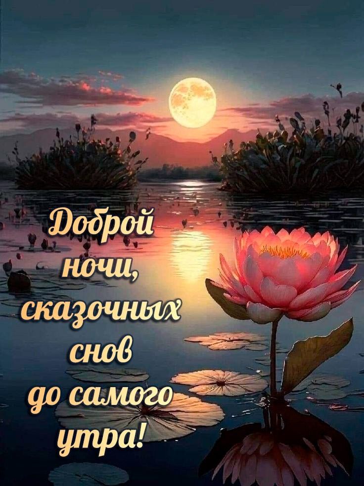 Открытка «Доброй ночи»: Доброй ночи: «Лотос под полной луной». Тэги: Спокойной ночи, Спокойной ночи, красивые, Спокой…