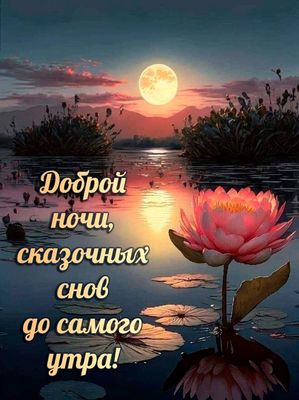 Открытка «Доброй ночи»: Доброй ночи: «Лотос под полной луной». Тэги: Спокойной ночи, Спокойной ночи, красивые, Спокой…
