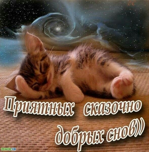 Открытка «Доброй ночи»: Спокойной ночи: милый котенок и сказочные сны. Тэги: Спокойной ночи, Спокойной ночи, с пожела…