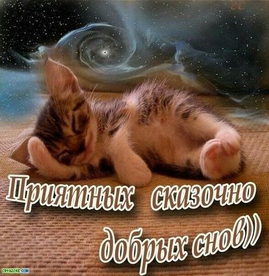 Открытка «Доброй ночи»: Спокойной ночи: милый котенок и сказочные сны. Тэги: Спокойной ночи, Спокойной ночи, с пожела…