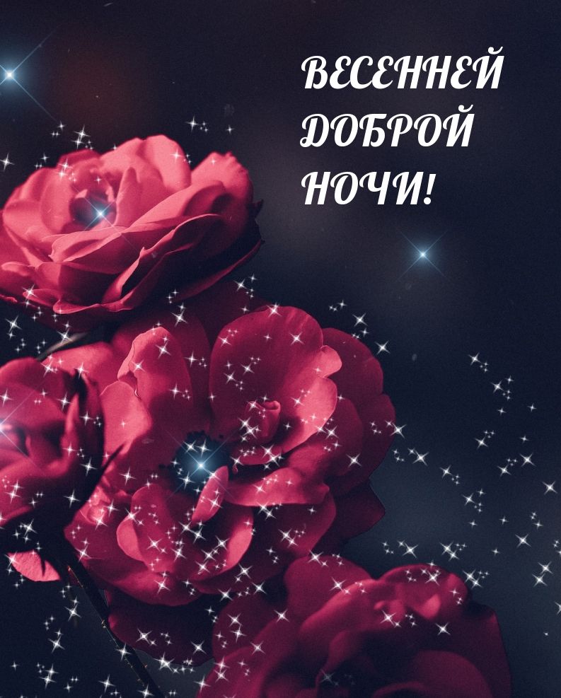 Открытка «Доброй ночи»: Спокойной ночи: роза и весеннее мерцание. Тэги: Спокойной ночи, Спокойной ночи, красивые…