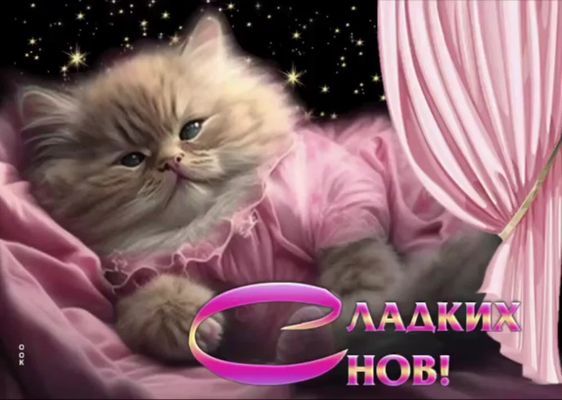 Открытка «Доброй ночи»: Спокойной ночи: милый котенок желает Сладких снов. Тэги: Спокойной ночи, Спокойной ночи…