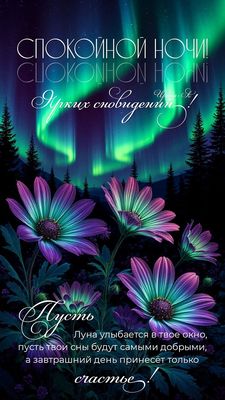 Открытка «Доброй ночи»: Спокойной ночи: «Северное сияние и цветы». Тэги: Спокойной ночи, Спокойной ночи, с пожеланиями…