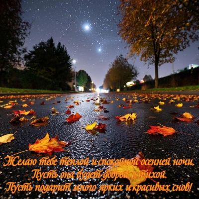 Открытка «Доброй ночи»: Доброй ночи: пожелание в осенний звездный вечер.
