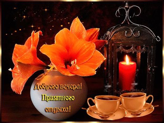 Открытка «Добрый вечер и пожелания»: Добрый вечер и приятный отдых: цветы и чай. Тэги: Доброго вечера и хорошего наст…