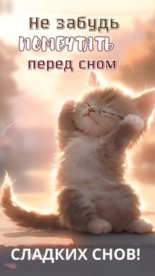 Открытка «Доброй ночи»: Спокойной ночи: милый котенок и пожелание мечтать. Тэги: Спокойной ночи, Спокойной ночи…