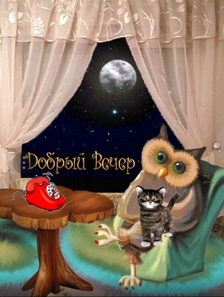 Открытка «Добрый вечер и пожелания»: Добрый вечер: Милая сова и котик у окна. Тэги: Добрый вечер женщине, Добрый вече…