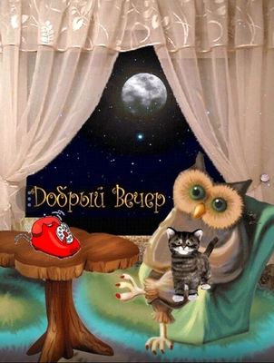 Открытка «Добрый вечер и пожелания»: Добрый вечер: Милая сова и котик у окна. Тэги: Добрый вечер женщине, Добрый вече…