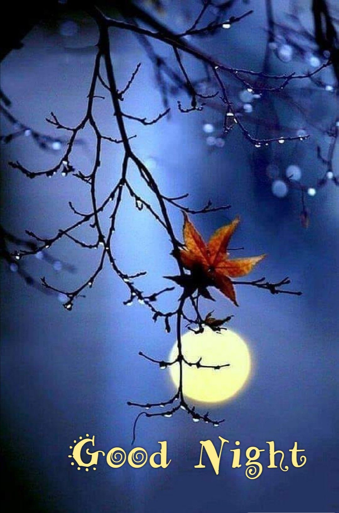 Открытка «Доброй ночи»: Спокойной ночи: «Осенняя луна» и капли дождя. Тэги: Спокойной ночи, Спокойной ночи, красивые…