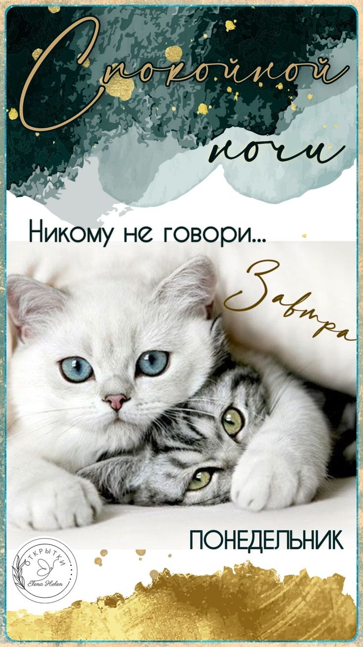 Открытка «Доброй ночи»: Спокойной ночи: котята и завтрашний понедельник. Тэги: Спокойной ночи, Спокойной ночи, с поже…