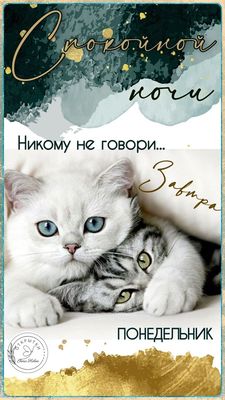 Открытка «Доброй ночи»: Спокойной ночи: котята и завтрашний понедельник. Тэги: Спокойной ночи, Спокойной ночи, с поже…