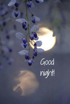 Открытка «Доброй ночи»: Спокойной ночи: стильная открытка с цветами и луной. Тэги: Спокойной ночи, Спокойной ночи…