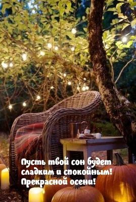 Открытка «Доброй ночи»: Доброй ночи: пожелание сладких снов в осенний вечер. Тэги: Спокойной ночи, Спокойной ночи…