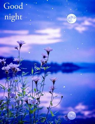 Открытка «Доброй ночи»: Доброй ночи: Сказочный пейзаж с луной и цветами. Тэги: Спокойной ночи, Спокойной ночи, красив…