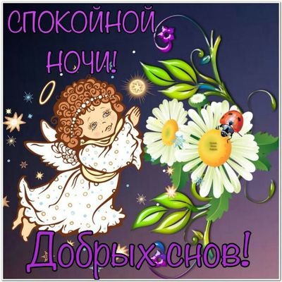Открытка «Доброй ночи»: Спокойной ночи: ангел и ромашки с пожеланием добрых снов. Тэги: Спокойной ночи, Спокойной ночи…