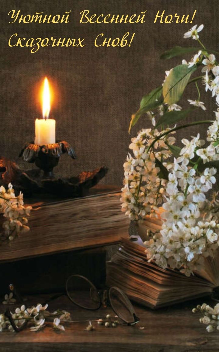 Открытка «Доброй ночи»: Спокойной ночи: Уютной весенней ночи и сказочных снов. Тэги: Спокойной ночи, черемуха, Спокой…