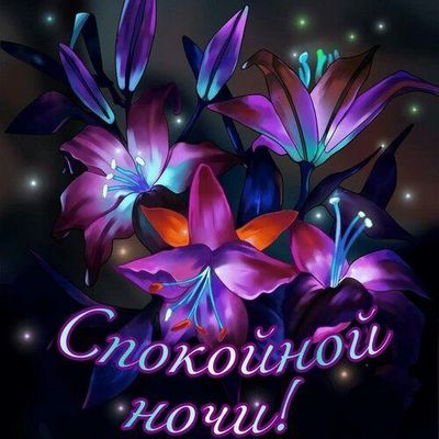 Открытка «Доброй ночи»: Спокойной ночи: магические лилии и нежное пожелание. Тэги: Спокойной ночи, Спокойной ночи…