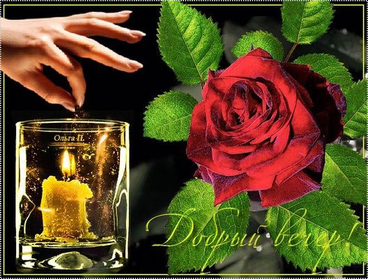Открытка «Добрый вечер и пожелания»: Добрый вечер: Красивая алая роза и свеча. Тэги: Доброго вечера и хорошего настро…