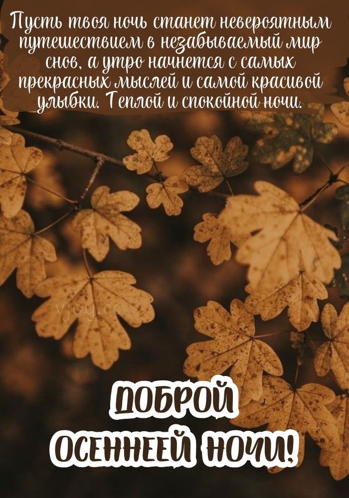 Открытка «Доброй ночи»: Доброй ночи: «Осенняя сказка» с пожеланием. Тэги: Спокойной ночи, проза, Спокойной ночи…