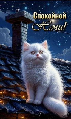 Открытка «Доброй ночи»: Спокойной ночи: «Белый кот на крыше под звездами». Тэги: Спокойной ночи, черепица, Спокойной…