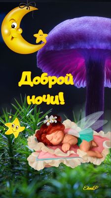 Открытка «Доброй ночи»: Доброй ночи: «Спящий ангел под грибом». Тэги: Спокойной ночи, ночной, Спокойной ночи, с пожел…