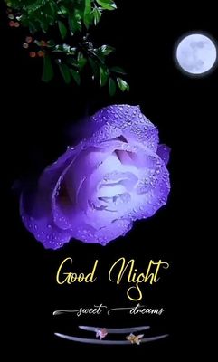 Открытка «Доброй ночи»: Спокойной ночи: Фиолетовая роза и лунный свет. Тэги: Спокойной ночи, Спокойной ночи, красивые…