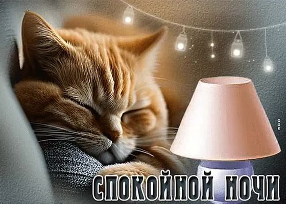 Открытка «Доброй ночи»: Спокойной ночи: милая открытка с рыжим котом. Тэги: Спокойной ночи, Спокойной ночи, с пожелан…