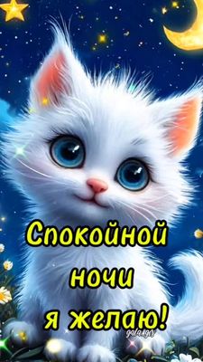 Открытка «Доброй ночи»: Спокойной ночи: очаровательный белый котенок. Тэги: Спокойной ночи, Спокойной ночи, с пожелан…
