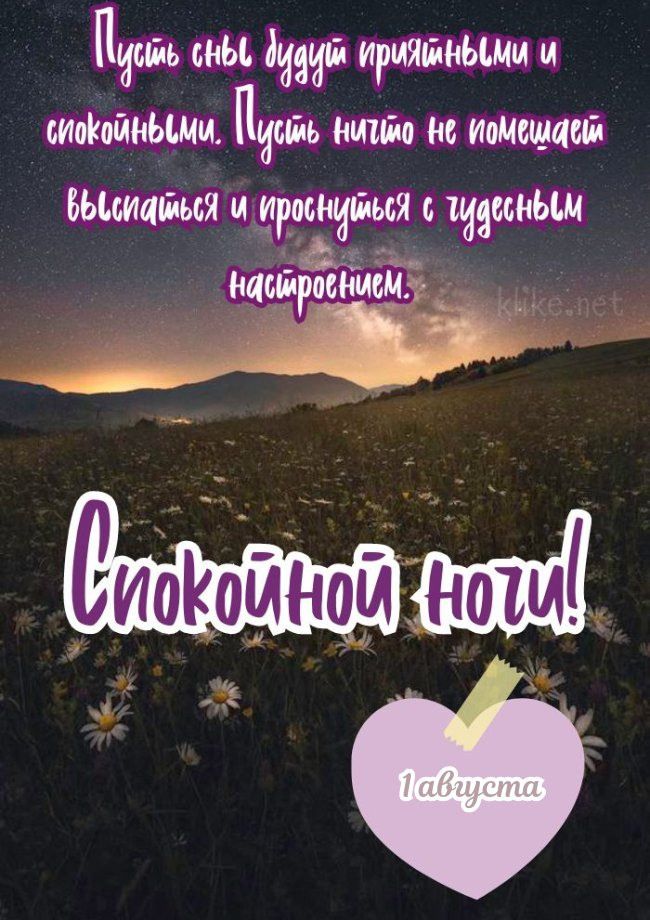 Открытка «Доброй ночи»: Спокойной ночи: пожелание на 1 августа с ромашками. Тэги: Спокойной ночи, Спокойной ночи…