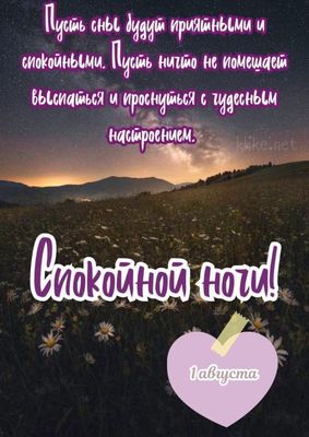 Открытка «Доброй ночи»: Спокойной ночи: пожелание на 1 августа с ромашками. Тэги: Спокойной ночи, Спокойной ночи…