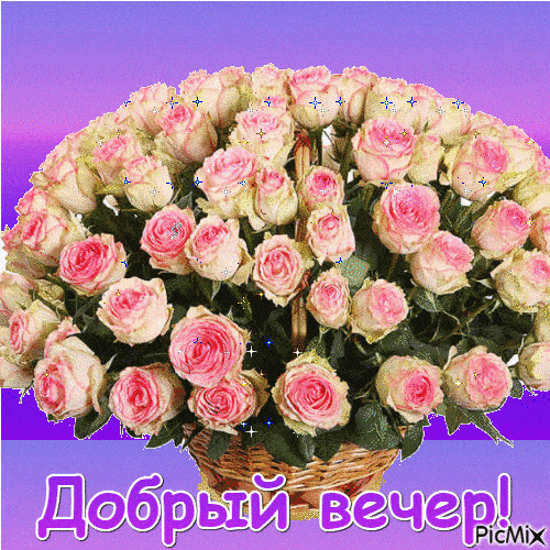 Открытка «Добрый вечер и пожелания»: Добрый вечер: Красивая корзина роз для настроения. Тэги: Добрый вечер красивые…