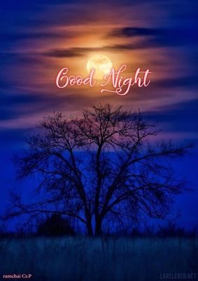 Открытка «Доброй ночи»: Спокойной ночи: Лунная ночь и силуэт дерева. Тэги: Спокойной ночи, Спокойной ночи, красивые…