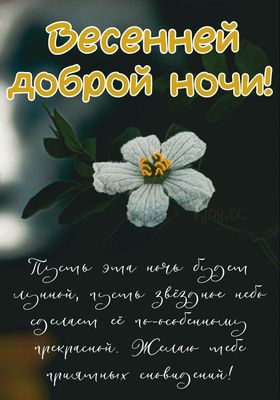 Открытка «Доброй ночи»: Спокойной ночи: «Весенний цветок» и добрые пожелания. Тэги: Спокойной ночи, Спокойной ночи…