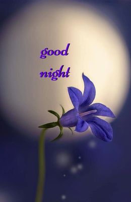 Открытка «Доброй ночи»: Спокойной ночи: Нежный цветок на фоне полной луны. Тэги: Спокойной ночи, Спокойной ночи…