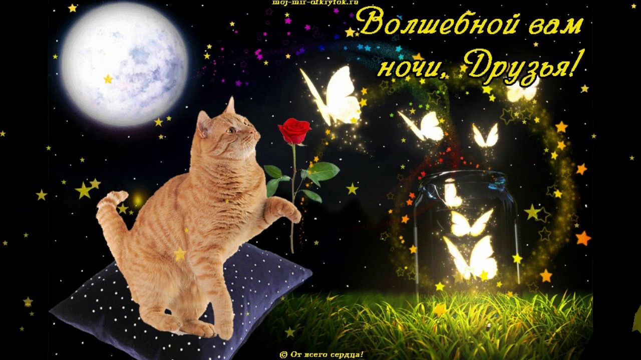 Открытка «Доброй ночи»: Доброй ночи: «Волшебная ночь с рыжим котом».
