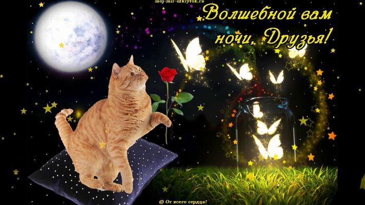 Открытка «Доброй ночи»: Доброй ночи: «Волшебная ночь с рыжим котом».
