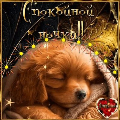Открытка «Доброй ночи»: Спокойной ночи: милый спящий щенок под одеялом. Тэги: Спокойной ночи, Спокойной ночи, с пожел…
